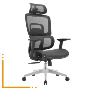 Silla Ergo
